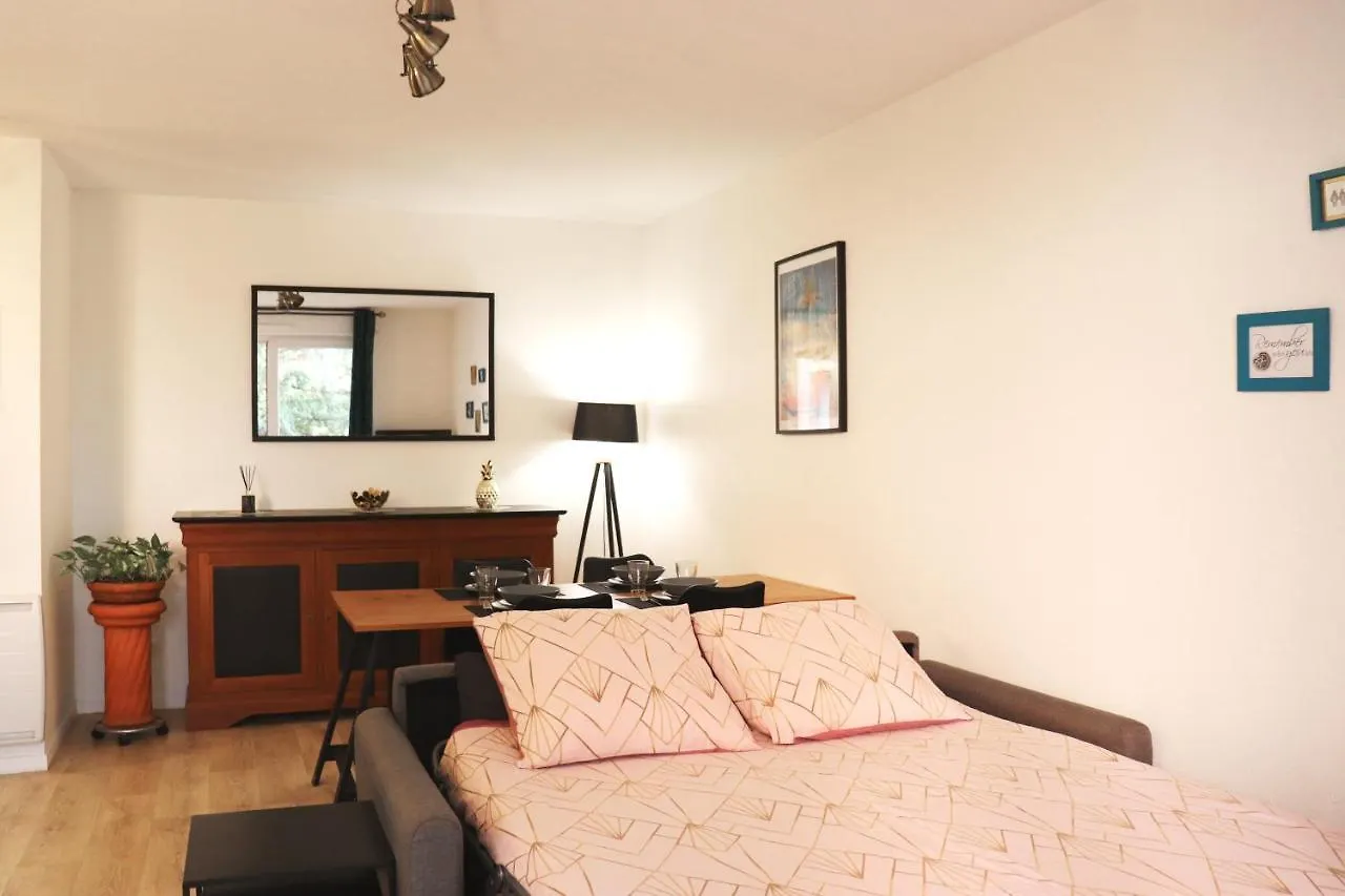 Le Chapitre Spacieux - Parking En Residence Fermee Toulouse Appartement